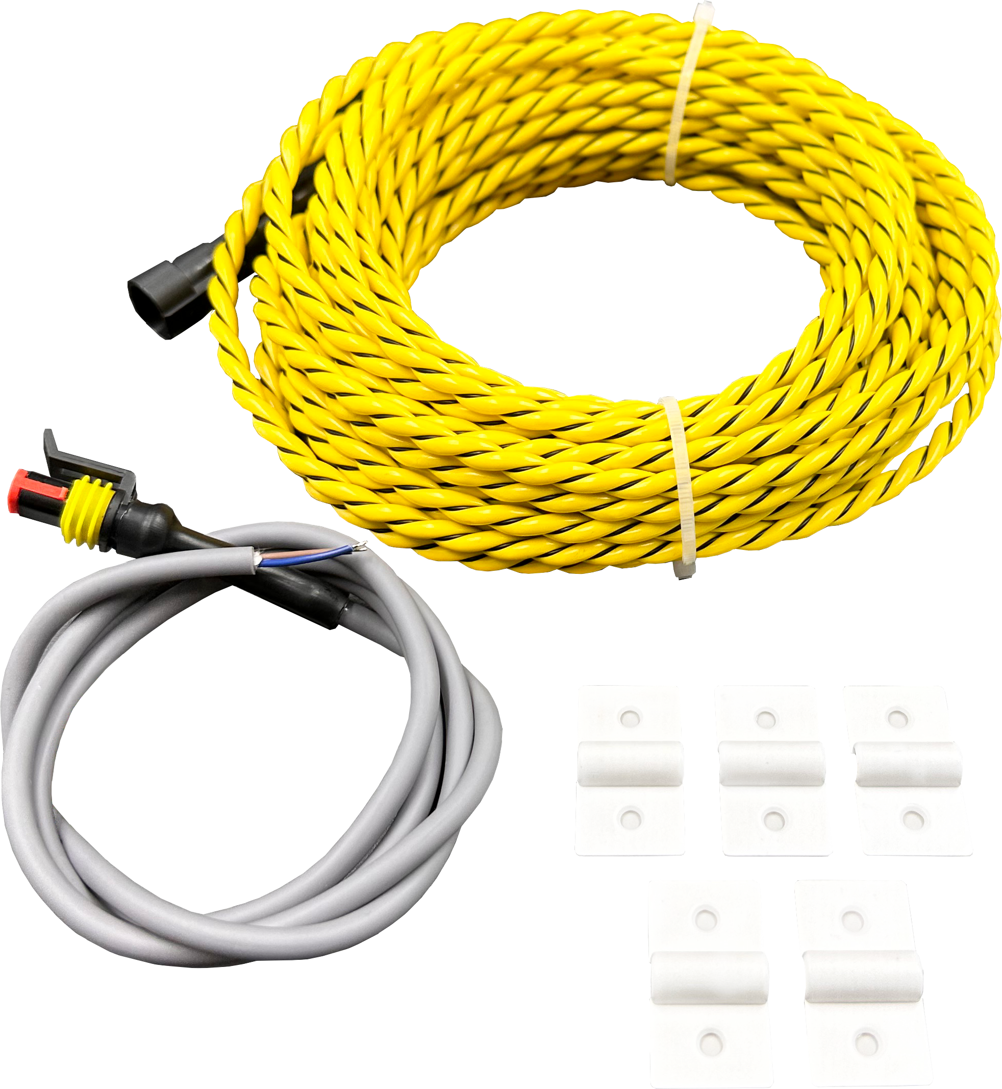 IMG_4646 - Edit - Clear Background